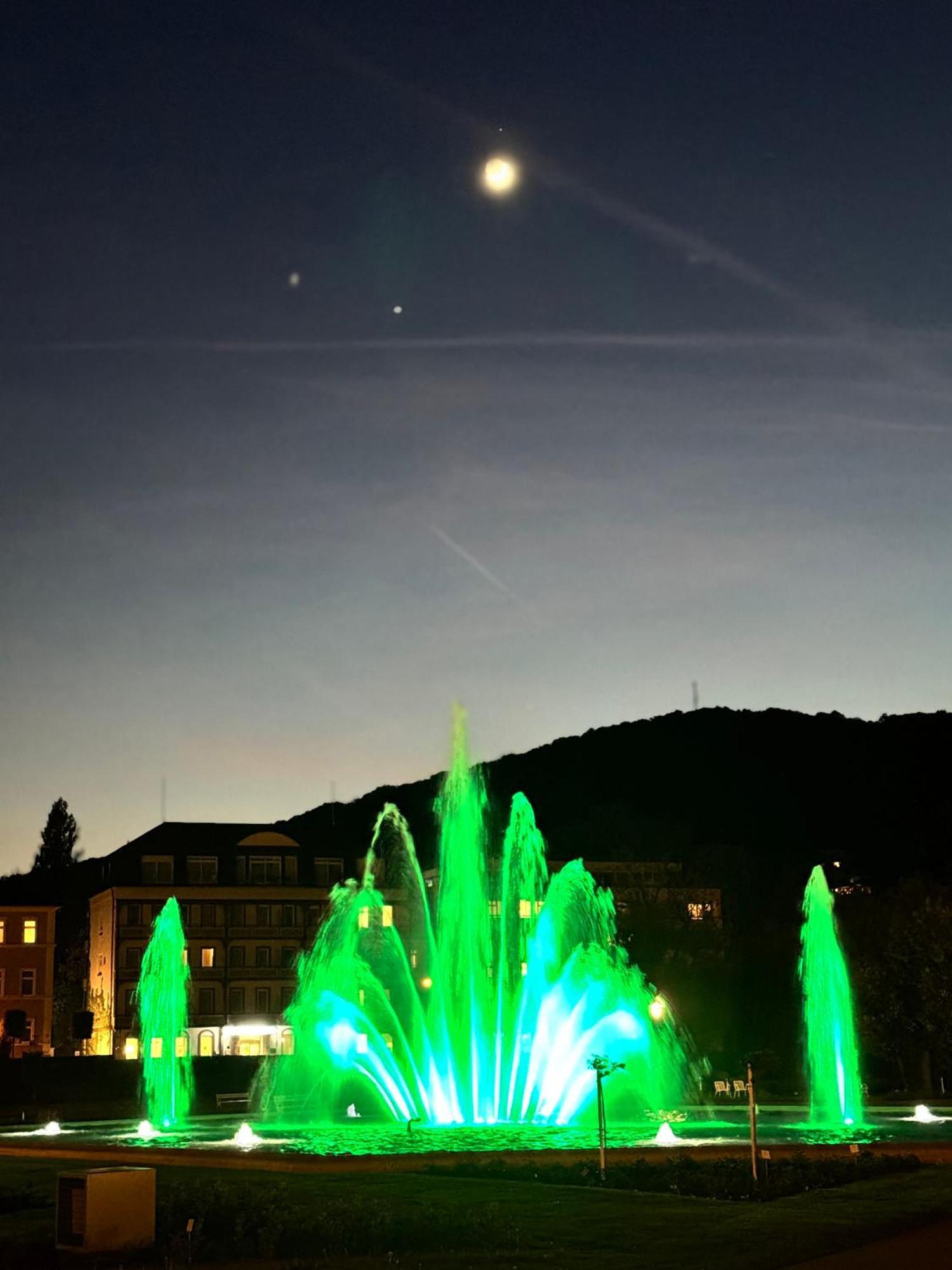 Ferienwohnungen Gala Bad Kissingen Exterior foto